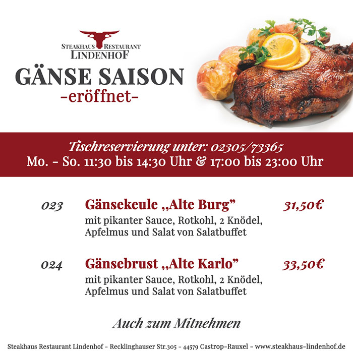 Gänse Flyer-2024